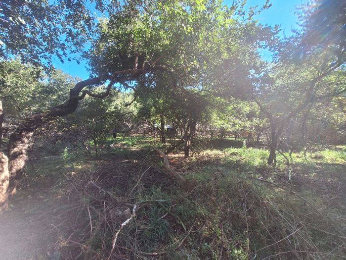 Vacant Land Residential For Sale in Leeupoort Central - 800m², wildlife access, local amenities.