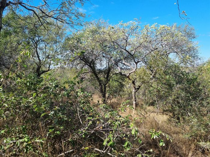 Property #2152428, Vacant Land Residential for sale in Elephant Rock Eco Estate