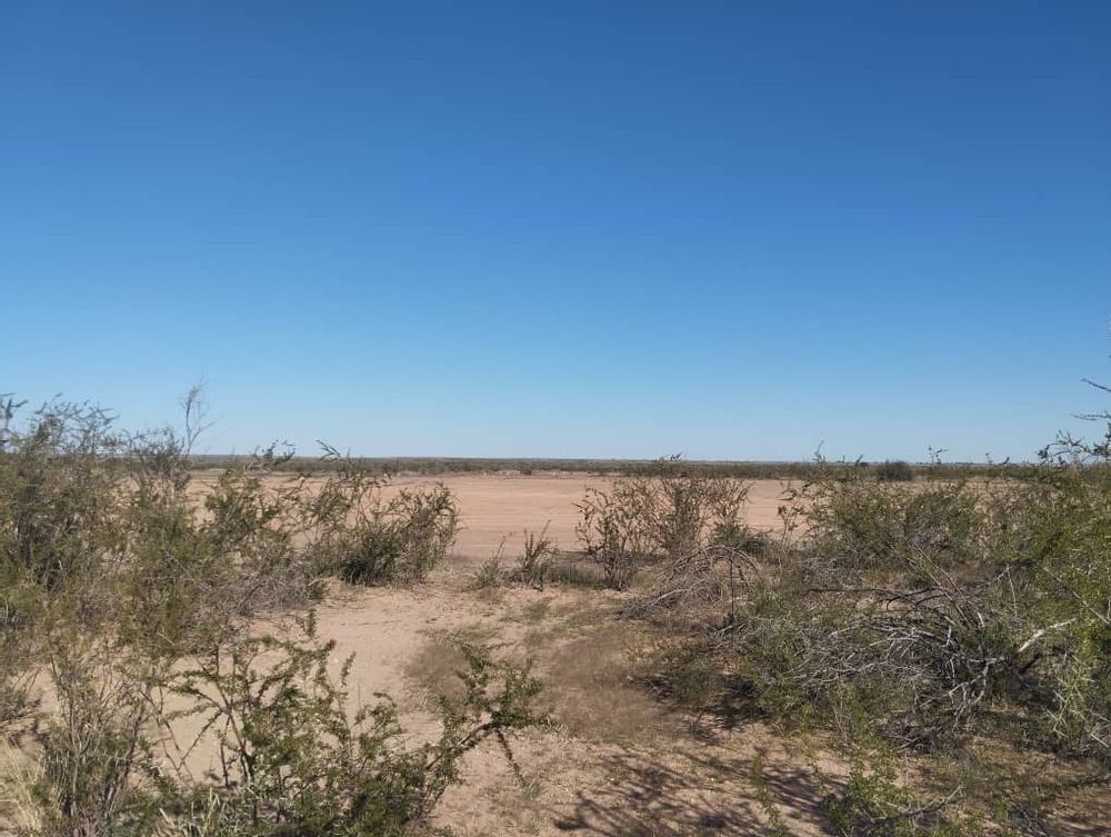 overview of farm land
