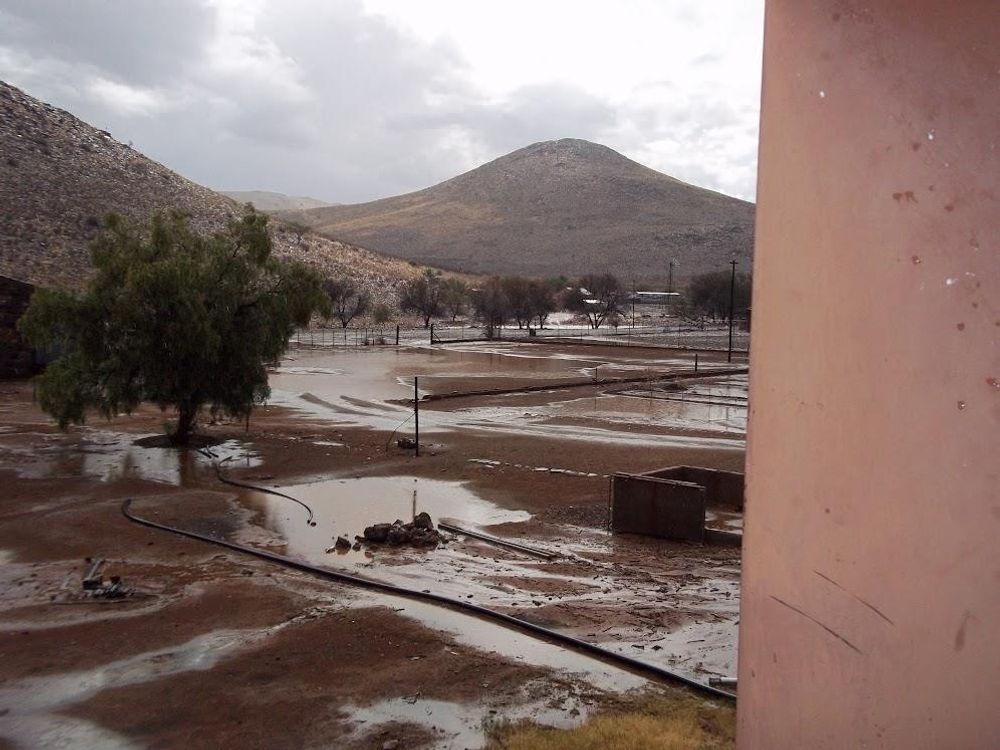 Rainwater after a lovely rain storm