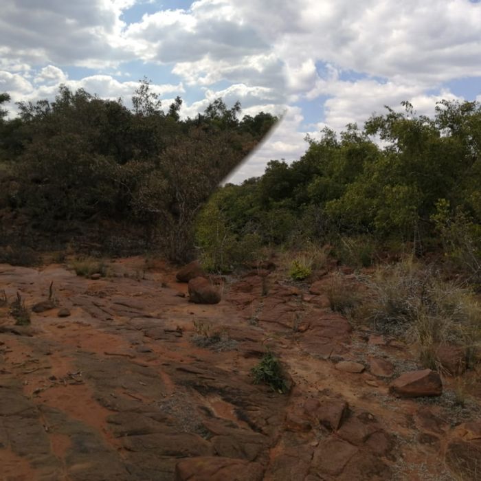 Prime Vacant Land Residential For Sale in Limpopodraai Bushveld Oasis