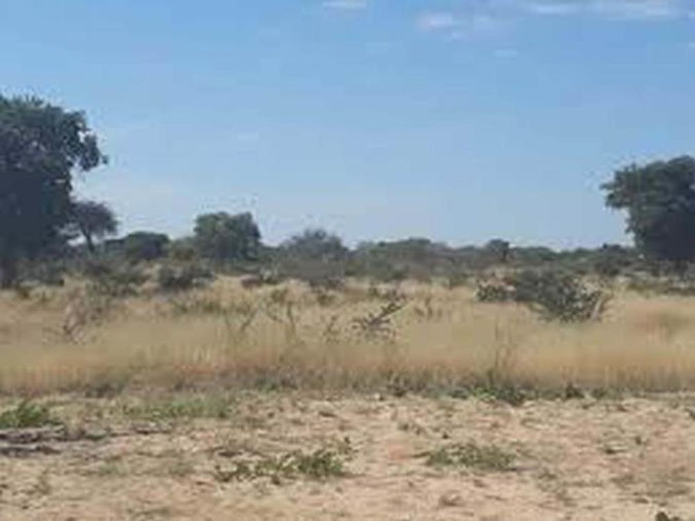 VACANT LAND (COULD BE SUBDIVIDED INTO RESIDENTIAL ERVEN)