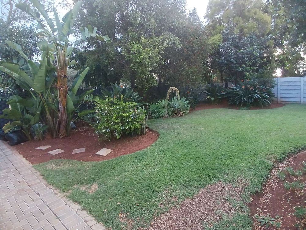 Front garden