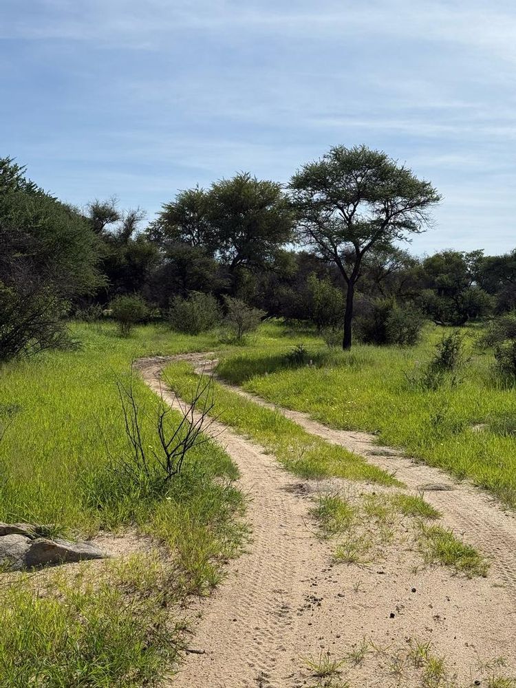 View of the field on the Farm