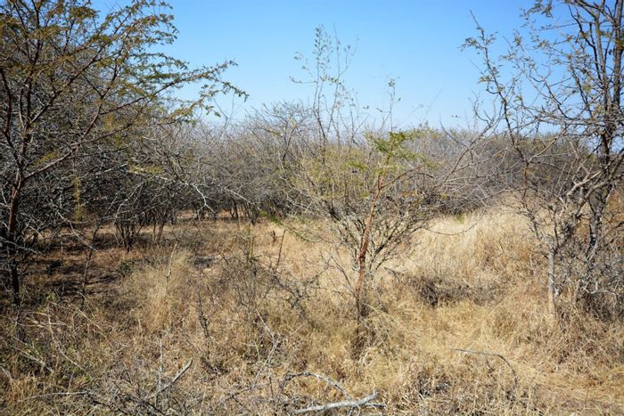 1 Hectare Bushveld Stand in Moditlo Nature Reserve, Big 4 Game Reserve, For Sale