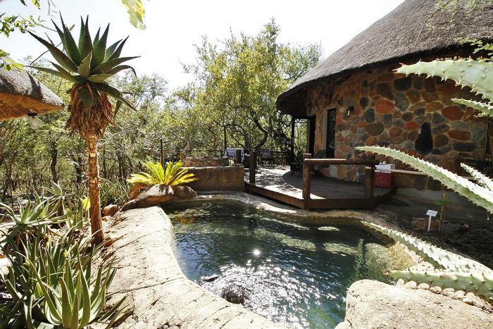 House for Sale in Blyde Botanical Gardens: Two chalets, pool, nature reserve access.