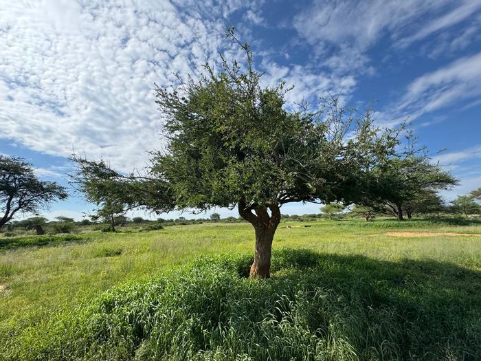 Hochfeld Central Small Holding For Sale: Limited plots with boreholes and game access.