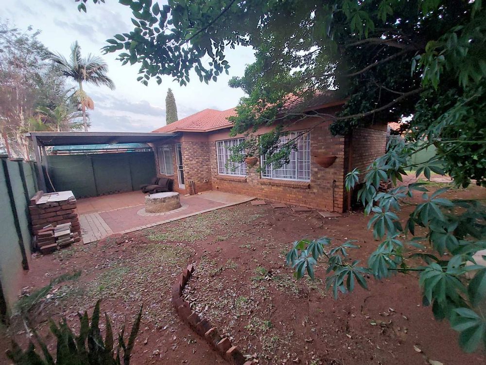 Back yard