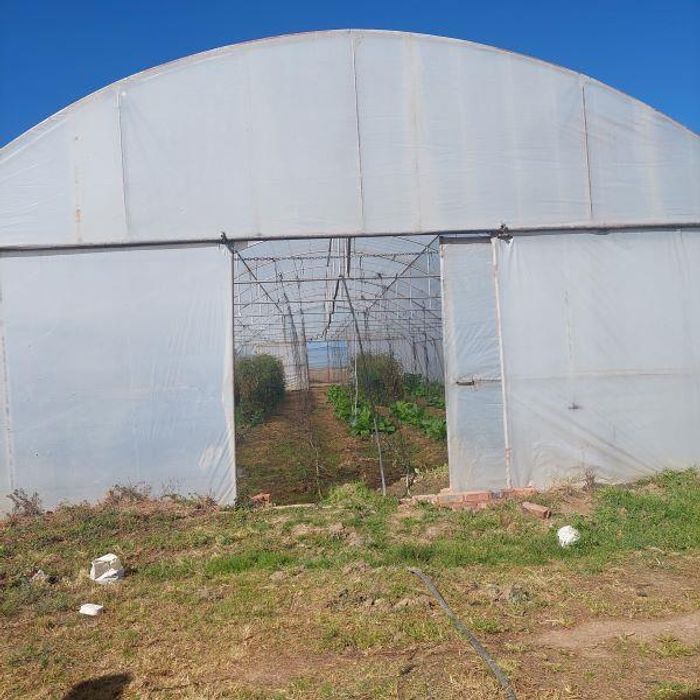 Mooiplaats AH Small Holding For Sale: Off-grid, vegetable tunnels, extensive irrigation system.