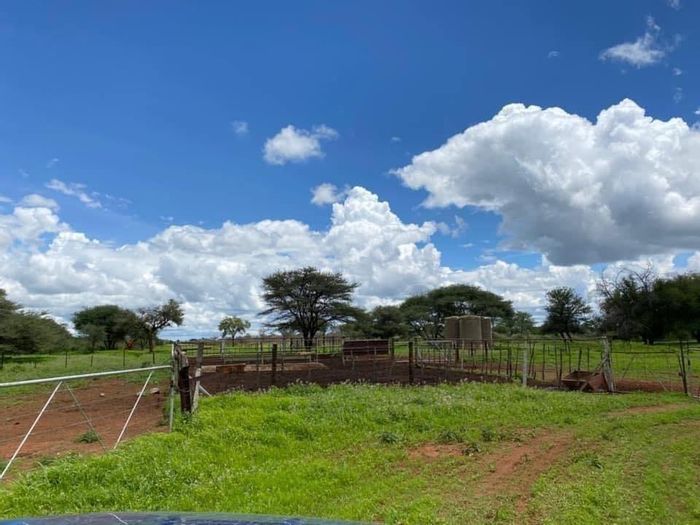 Hochfeld Central: For Sale - 85ha agricultural land with borehole, wildlife access.