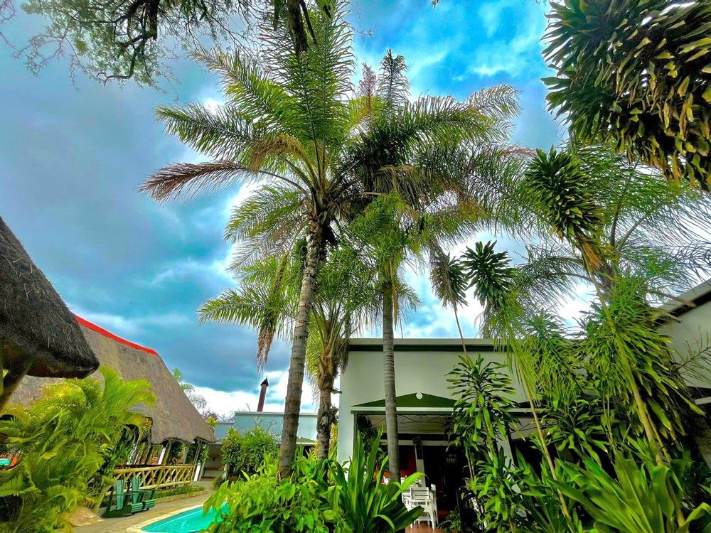 Pool, seating area and the garden