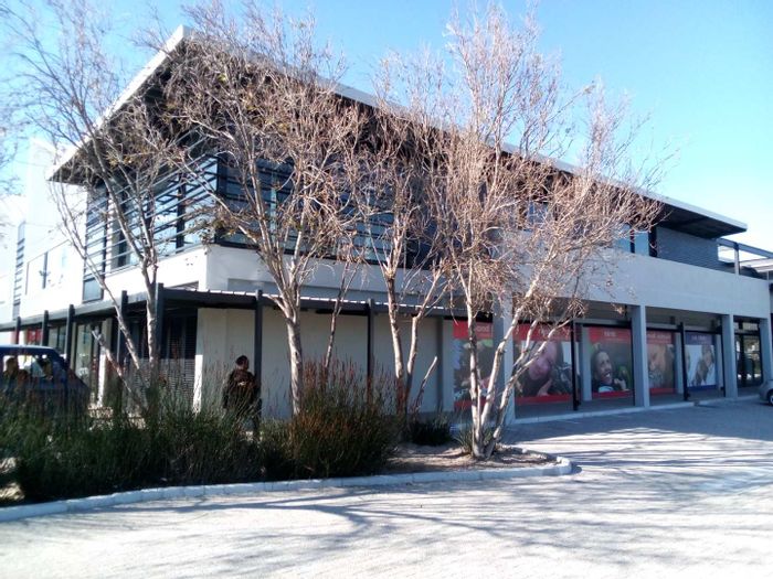 Diep River Property property and houses to rent in Diep River, Cape