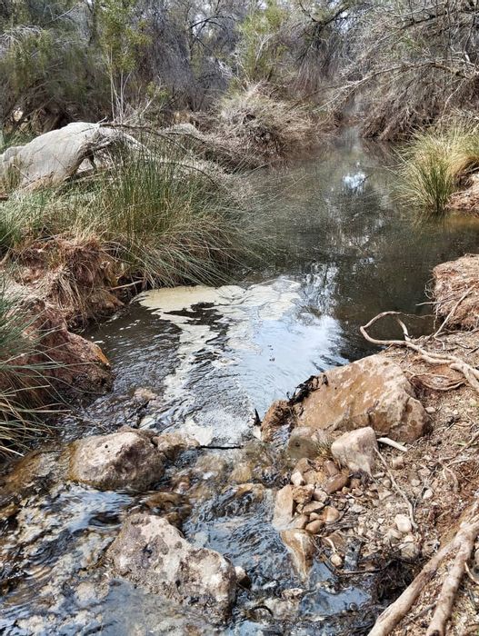 For Sale: Farm in Aus Central with water supply, campsites, and diverse opportunities.
