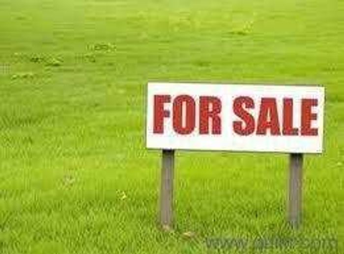 Property #2399411, Vacant Land Residential For Sale in Dorado Park