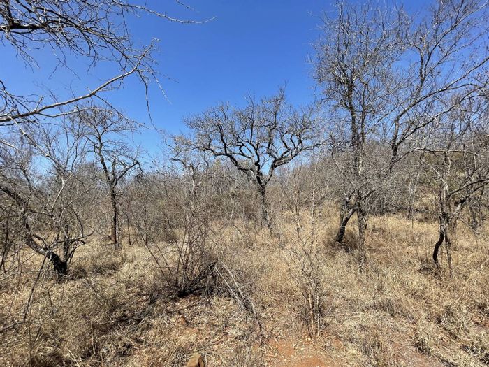 Property #2088769, Vacant Land Residential for sale in Hoedspruit