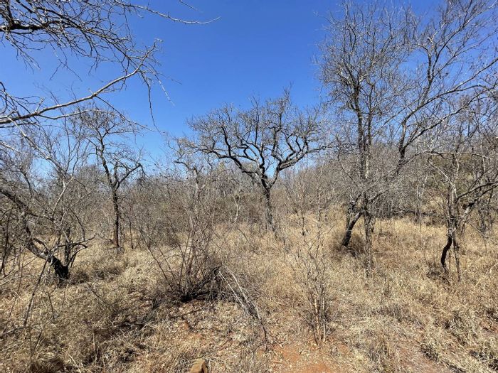 Exclusive 1.5ha Vacant Land Residential For Sale, Hoedspruit Rural