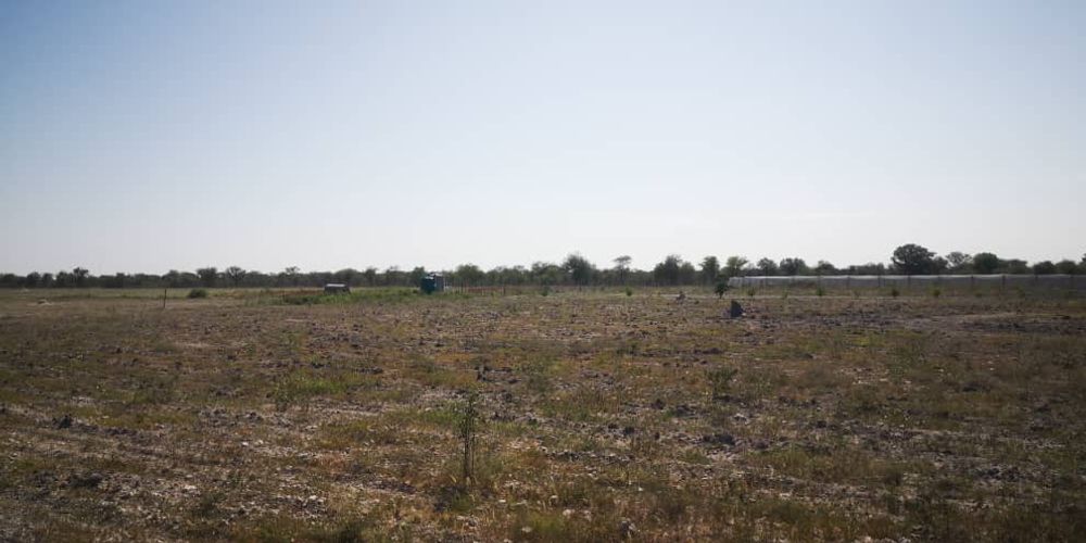 View with the greenhouse.