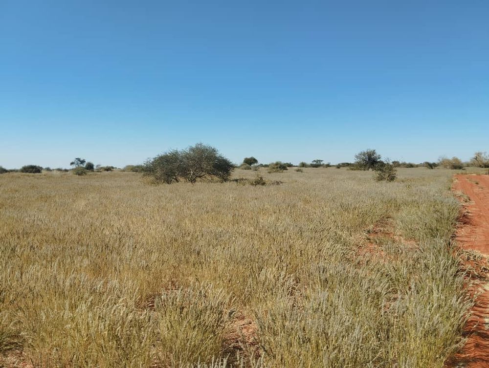 overview of farm land