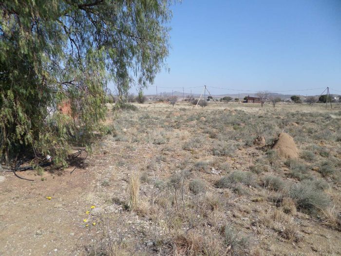 Vacant Land Residential in Oviston For Sale: Level erf ready for your dream home.