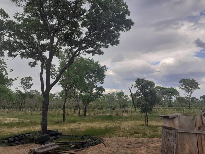 For Sale: Rundu Central Farm with boreholes, game species, and tourism potential.