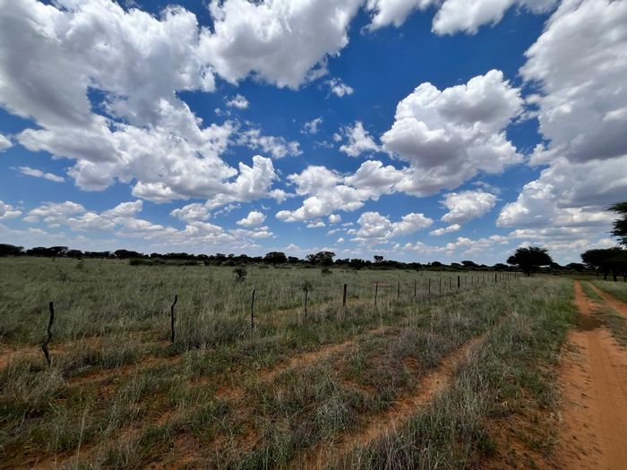 For Sale: Farm in Steinhausen Central with water access, wildlife, and cattle capacity.