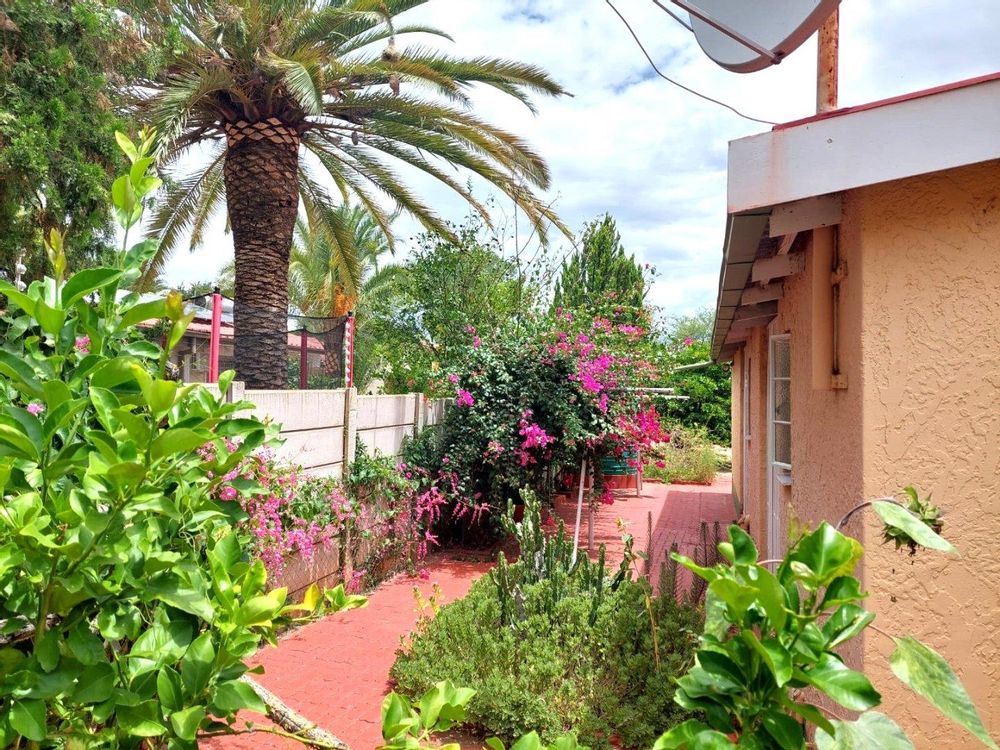 Established garden with Citrus - and Palmtrees