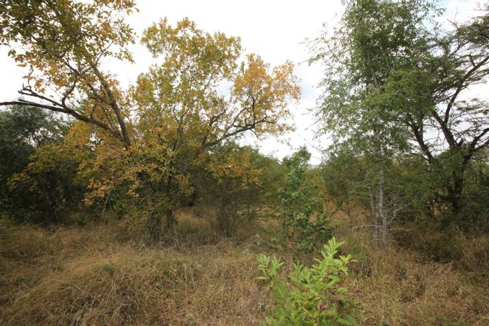 Vacant Land in Moditlo Nature Reserve: Prime Location, Near Kruger Park