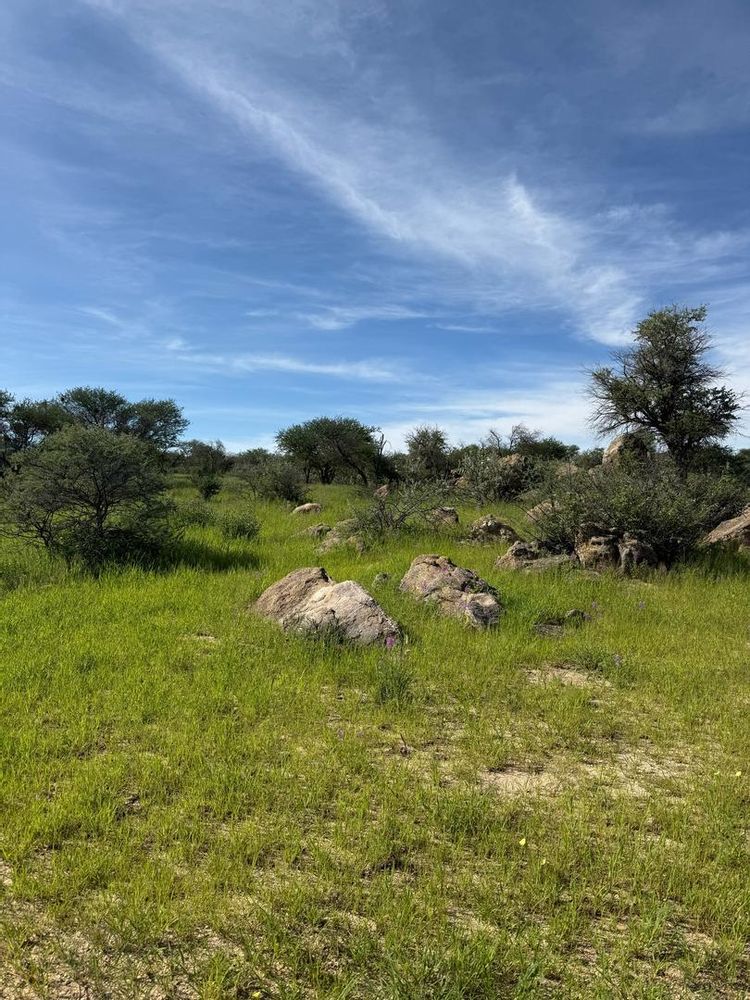 View of the field on the Farm