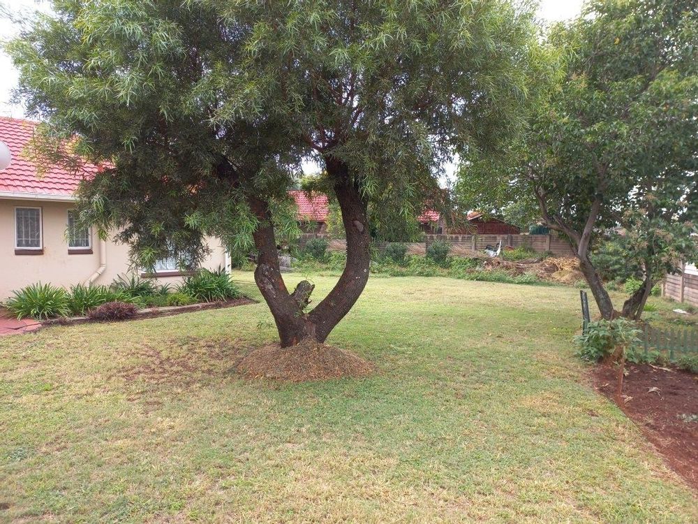 View to back of Garden