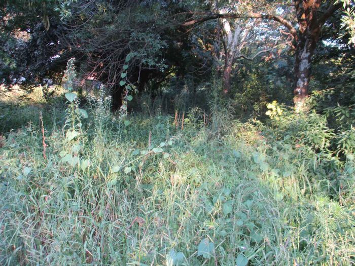 Vacant Land Residential For Sale in Henley On Klip, 2000 m² with services available.