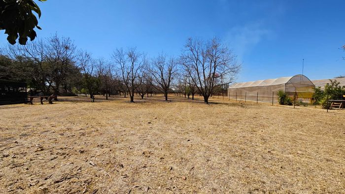 For Sale: Farm in Mamogaleskraal with multiple units, boreholes, and ample space.