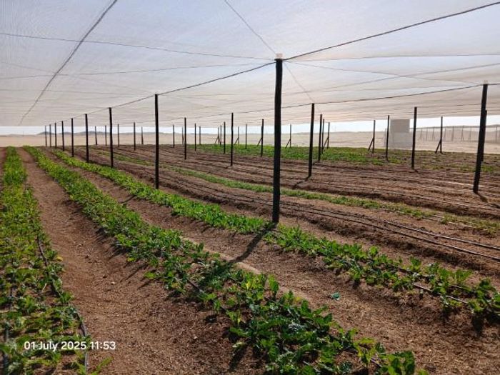 Property #2396822, Small Holding For Sale in Swakopmund River Plots