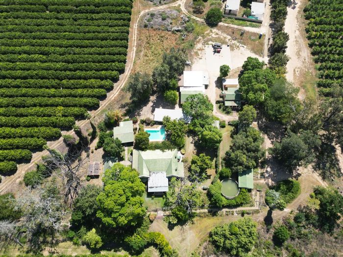 Addo Central Farm For Sale: Productive citrus farm with extensive water rights and cottages.
