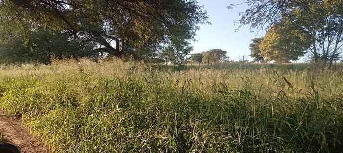 For Sale: 2550ha Farm in Rundu Central with boreholes, fencing, and wildlife.