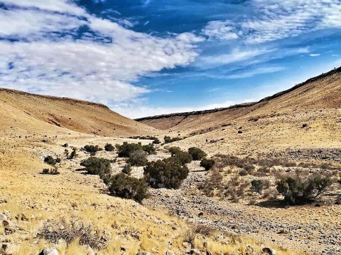 Farm for Sale in Keetmanshoop Central: Biltongplaas with accommodation, water points, and tourism potential.