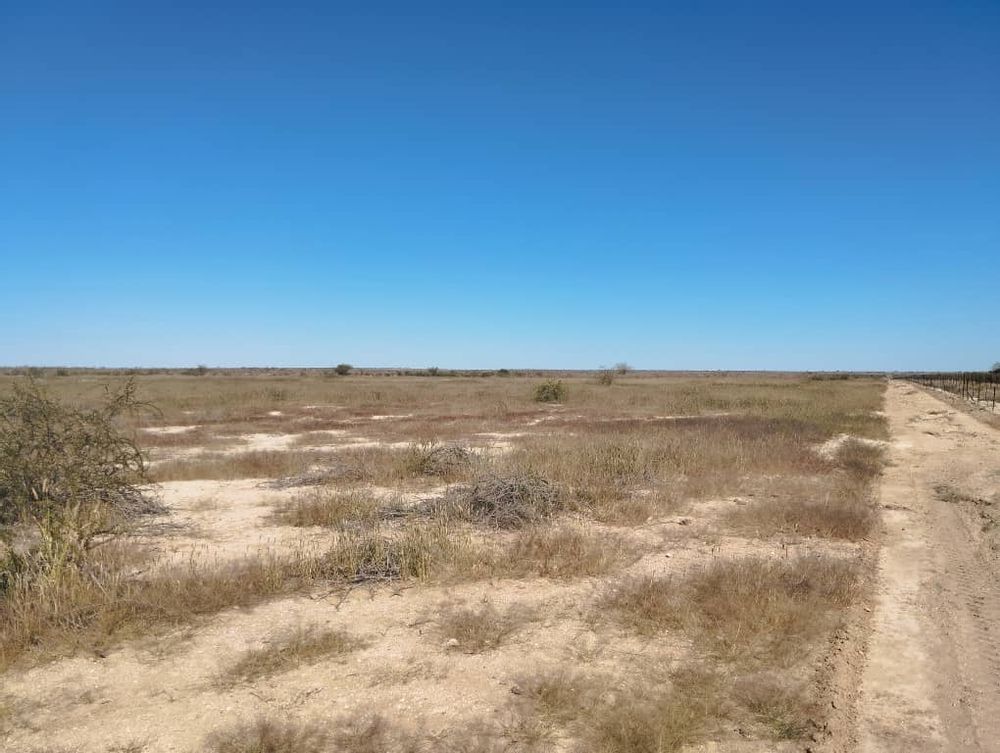 overview of farm land