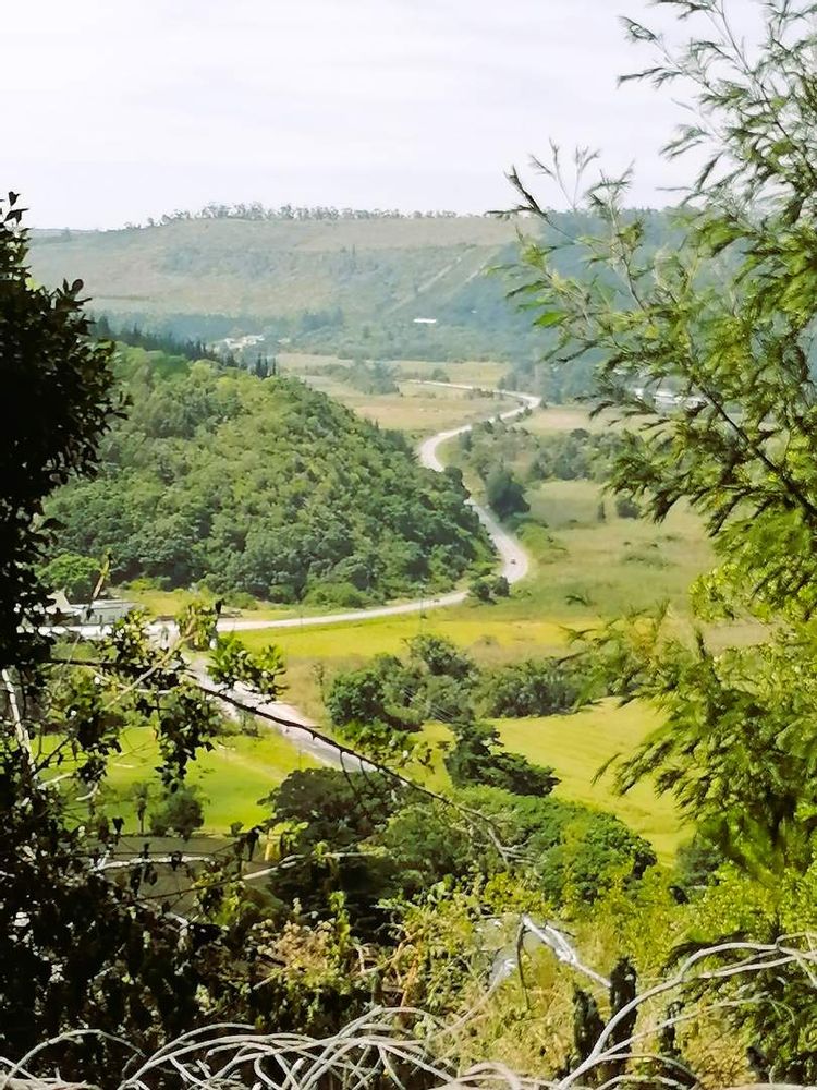 View of the valley south east