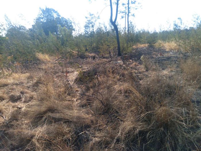 Vacant Land Residential For Sale in Grootfontein Country Estates – 1-hectare opportunity!