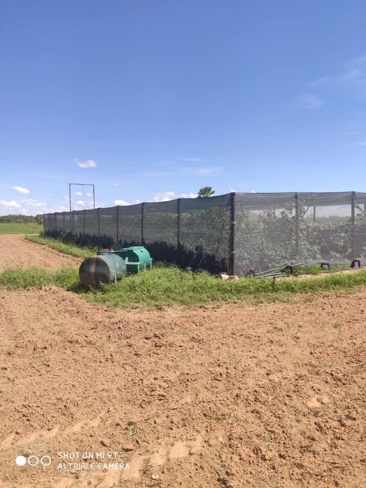 For Sale Small Holding in Stampriet Central with 3 boreholes and