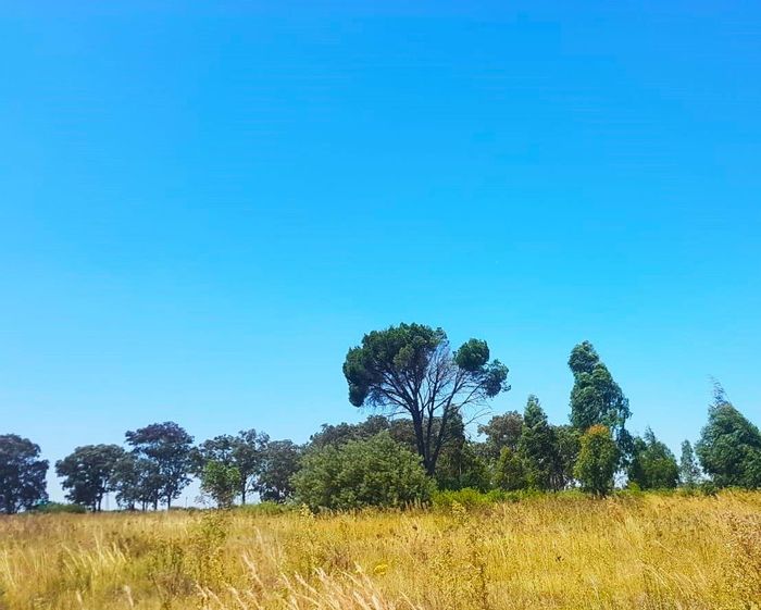 Property #2222976, Vacant Land Agricultural for sale in Vaal Marina Central