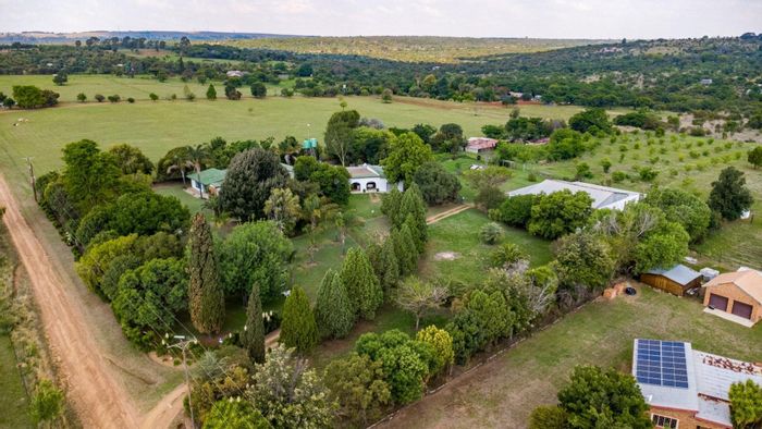 Commercial Pecan Nut Farm in Boschkop AH For Sale with Multiple Income Opportunities.