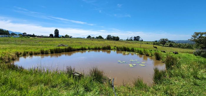 Ruiterbos Farm For Sale: 3-Bedroom Home, Lush Farmland, Borehole Water, 26km from Hartenbos