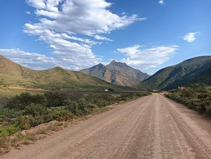 Commercial Farm for Sale in Montagu Rural: Thriving Fruit Production with Infrastructure