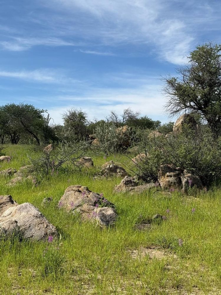 View of the field on the Farm