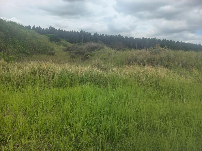 Property #2200703, Vacant Land Agricultural for sale in Richards Bay Central