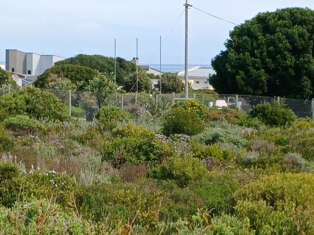 Our Plot in front of us - with Ocean at the back.