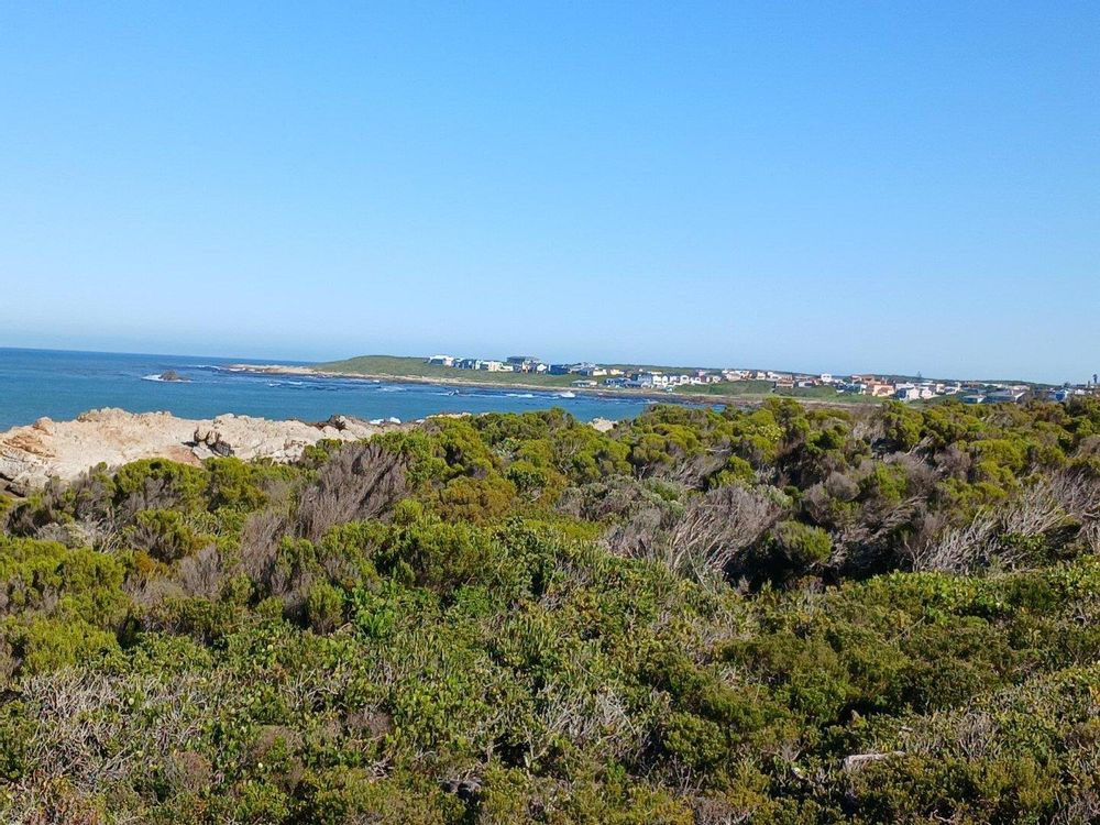 Sea View - as from the Stairs (and from our Plot).