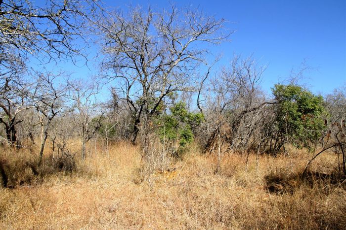 Vacant Land Residential in Moditlo Wildlife Estate, For Sale with wildlife trails.