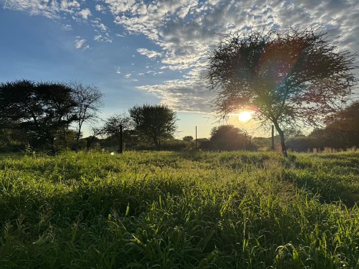 Hochfeld Central Small Holding For Sale: Limited plots with boreholes and wildlife access.