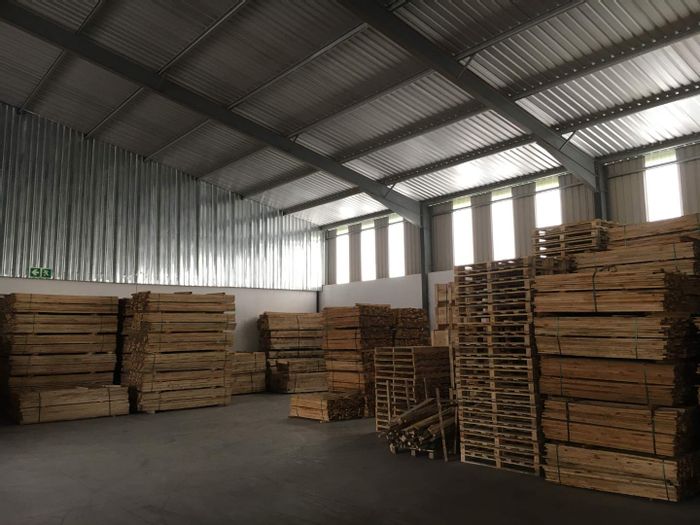 Cato Ridge properties to rent